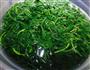 荠菜鲜肉水饺的做法图解1