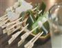 钵钵鸡的做法图解5