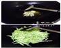 西葫芦高汤豆参汤的做法图解3