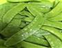 蒜蓉荷兰豆的做法图解2