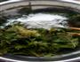 春季食新  炸花椒芽的做法图解1