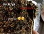 手工自制阿胶糕的做法图解8