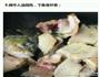 上汤鲫鱼的做法图解5