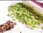 奶香鲜蔬煎蛋饼的做法图解3
