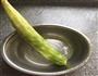 凉拌莴笋丝的做法图解2