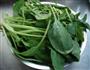 果仁菠菜 的做法图解3