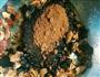 红枣桃酥的做法图解4