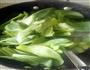 香菇油菜的做法图解6