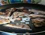 蓝莓排骨的做法图解3