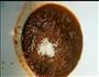 蒜香烤鸡腿的做法图解3
