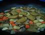 红烧牛肉咖喱饭的做法图解10