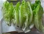 金枪鱼芒果沙拉-轻食风尚的做法图解2