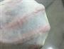 培根芝士面包-老面的做法图解1