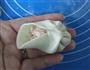 鸡汁灌汤包的做法图解14