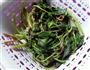 野菜饺子的做法图解4