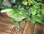 Mojito的做法图解2