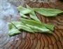 沙茶酱熘鸡片的做法图解3