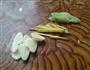沙茶酱熘鸡片的做法图解5