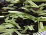 芹菜木耳油豆腐的做法图解2