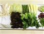豆汤肥牛天然鲜美的做法图解3