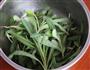 苦菜拌豆腐的做法图解1