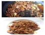 土豆肉片的做法图解4