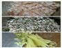 鲜菇猪肉饺的做法图解1