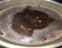 红豆薏米黑豆燕麦粥的做法图解5