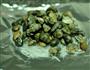 碳烤蒜蓉粉丝螺的做法图解1