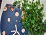 海岛马鲛鱼饭的做法图解3