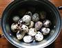 五香鹌鹑蛋的做法图解3