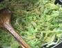 妈妈的手艺-牛肉包菜炒粿条的做法图解11