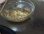 电饼铛-燕麦饼的做法图解1