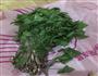 山芹菜肉包子的做法图解1