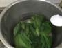 素鲍菜芯的做法图解3