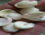 莲蓉馅的做法图解4