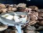 不放水的炖牛肉的做法图解3