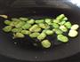 鲜虾蚕豆炒蛋的做法图解5