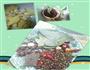 红烧五花肉土豆墨鱼仔的做法图解1