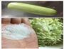 西湖鸡蛋虾皮饺子的做法图解2