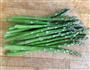 白灼芦笋的做法步骤1