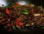 茶树菇回锅肉的做法图解9