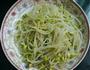 凉拌豆芽的做法图解1