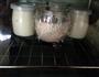 自制酸奶的做法图解6