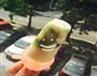 养乐多酸奶果酱冰棒的做法图解7