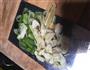 肉炒花菜的做法图解4