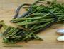 小炒山野菜的做法图解1
