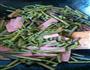 小炒山野菜的做法图解3
