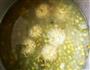 菊花绿豆粥的做法图解2