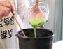 宝宝辅食微课堂 鳕鱼豌豆粥的做法图解7